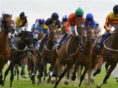 York Races Music Showcase