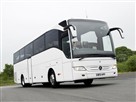 Your Holiday Coach